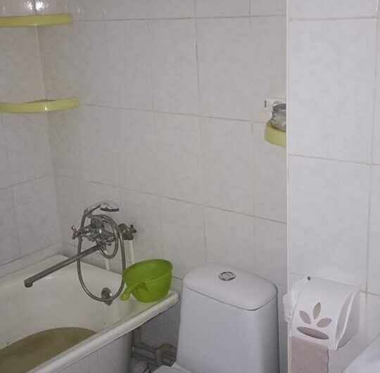 Продается 1-комнатная квартира с ремонтом, Бажанова